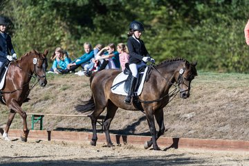 Bild 46 - Pony Akademie Turnier